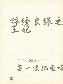 锦绣良缘之北地王妃