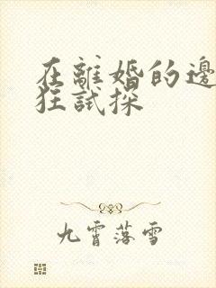 在离婚的边缘疯狂试探封面