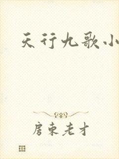 天行九歌小说封面