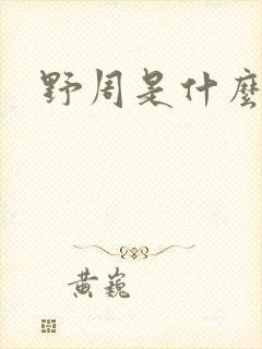 野周是什么意思
