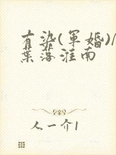 有染(军婚)/叶落淮南