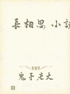 长相思 小说