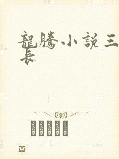 龙腾小说三宝局长