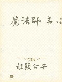 魔法师 韦小宝封面