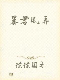暴君风弄封面