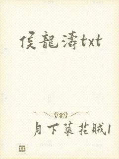 侯龙涛txt封面
