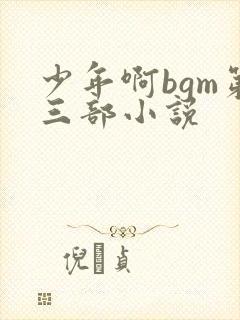 少年啊bgm第三部小说