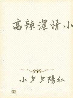 高辣浓情小说