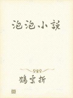 泡泡小说