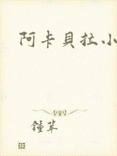 阿卡贝拉小说