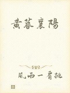 黄蓉襄阳