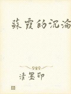 苏霞的沉沦封面