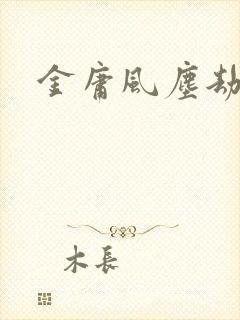 金庸风尘劫