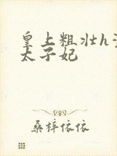 皇上粗壮h灌满太子妃