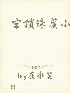 宫锁珠帘小说