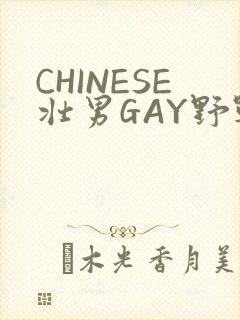 CHINESE壮男GAY野战强迫TUBE封面