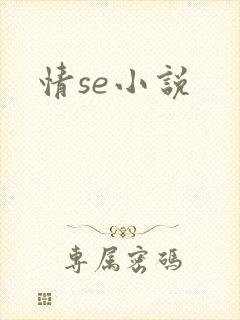 情se小说