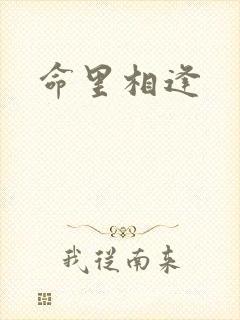 命里相逢