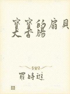宝宝的扇贝想吃大香肠封面