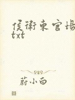 侯卫东官场笔记txt