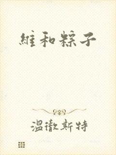 维和粽子封面