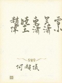 赵晓东吴雪晴郑伟王潇潇小说名字