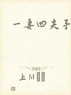 一妻四夫手记封面
