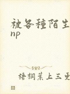 被各种陌生人 np