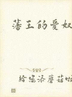 藩王的爱奴