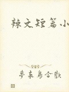 辣文短篇小说