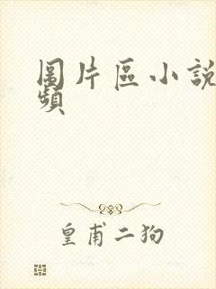 图片区小说区视频封面
