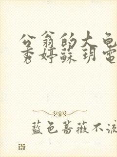 公翁的大龟挺进秀婷苏玥电影