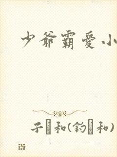 少爷霸爱小丫头