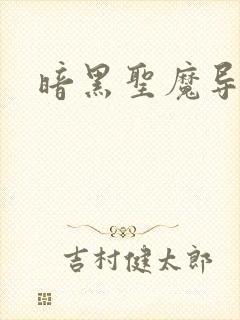 暗黑圣魔导
