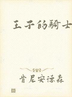 王子的骑士封面