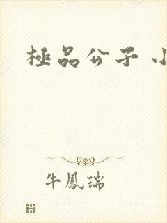 极品公子 小说