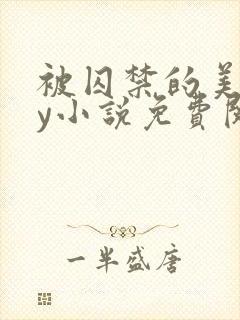 被囚禁的美人by小说免费阅读