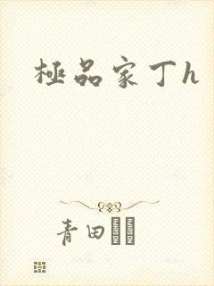 极品家丁h封面