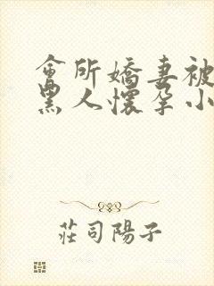 会所娇妻被多个黑人怀孕小说封面