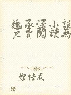魏承泽小说全文免费阅读无弹窗笔趣