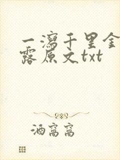 一泻千里金银花露原文txt封面