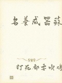名养成器苏沫沫封面