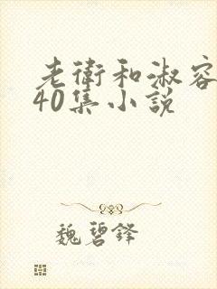 老卫和淑容1-40集小说