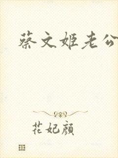 蔡文姬老公封面