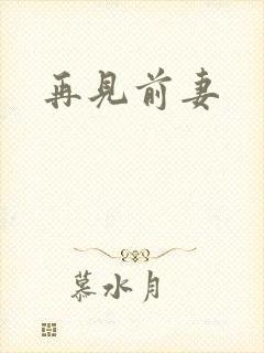 再见前妻