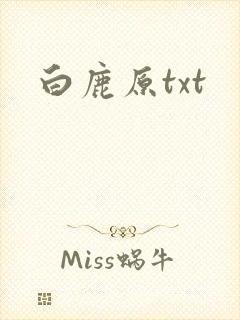 白鹿原txt