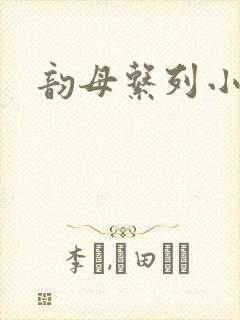 韵母系列小说封面