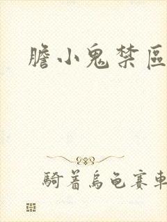 胆小鬼禁区