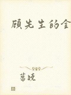 顾先生的金丝雀封面