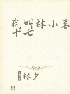 我叫林小喜今年十七